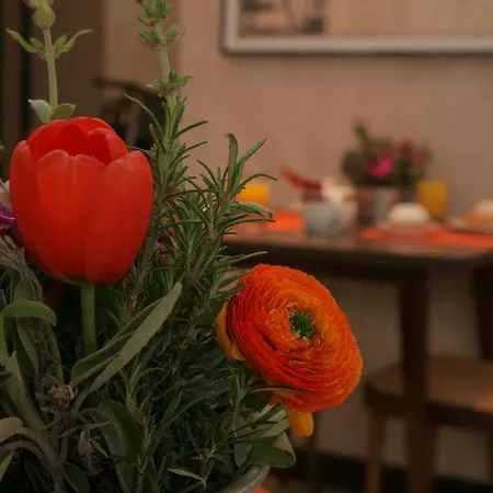 بارك موبلي 3*