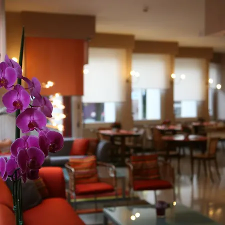 فندق بارك موبلي